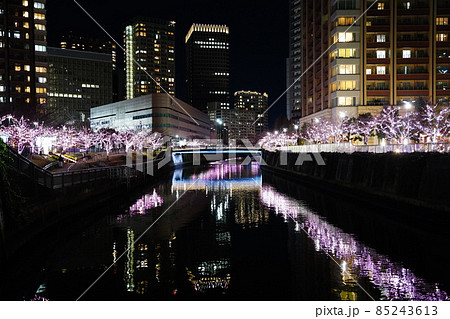 目黒川みんなのイルミネーション 水面にうつる桜・ピンクのライトアップ 目黒川みんなのイルミネーション 水面にうつる桜・ピンクのライトアップ 85243613
