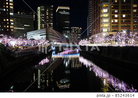 目黒川みんなのイルミネーション 水面にうつる桜・ピンクのライトアップ 目黒川みんなのイルミネーション 水面にうつる桜・ピンクのライトアップ 85243614