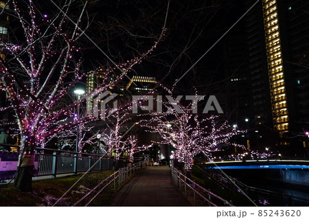 目黒川みんなのイルミネーション 水面にうつる桜・ピンクのライトアップ 目黒川みんなのイルミネーション 水面にうつる桜・ピンクのライトアップ 85243620