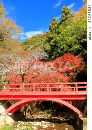 【愛媛県】白滝公園の紅葉 85243680