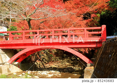 【愛媛県】白滝公園の紅葉 85243683