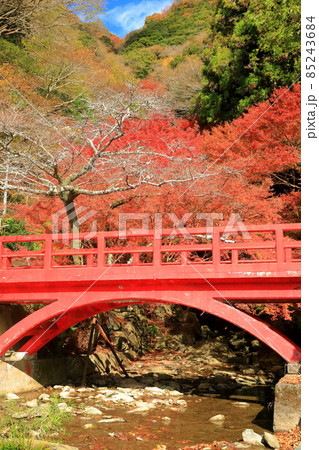【愛媛県】白滝公園の紅葉 【愛媛県】白滝公園の紅葉 85243684