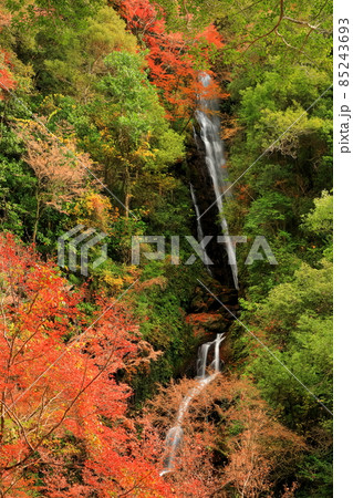 【愛媛県】白滝公園の雌滝の紅葉 85243693