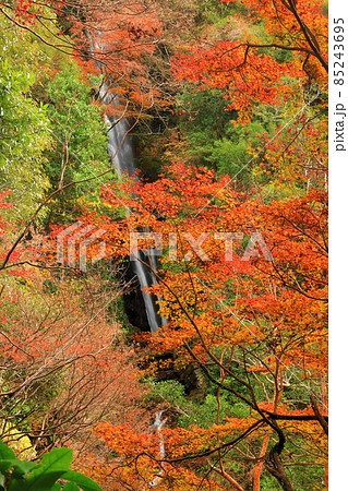 【愛媛県】白滝公園の雌滝の紅葉 85243695