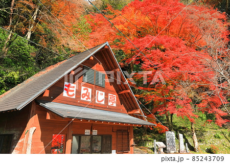 【愛媛県】白滝公園の紅葉亭の紅葉 85243709