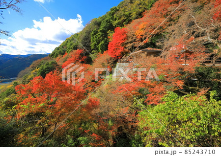 【愛媛県】白滝公園の紅葉亭の紅葉 85243710