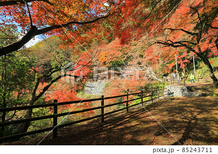 【愛媛県】白滝公園の紅葉亭の紅葉 85243711