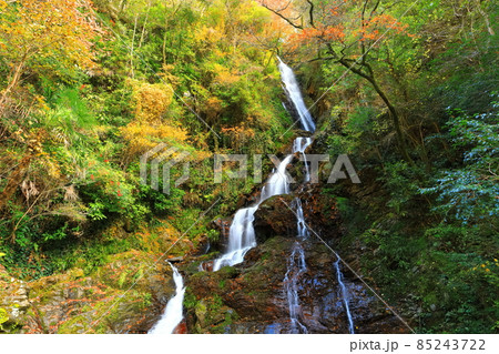 【愛媛県】白滝公園の雌滝の紅葉 85243722