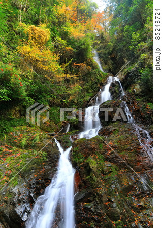 【愛媛県】白滝公園の雌滝の紅葉 85243724