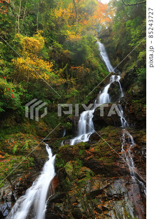 【愛媛県】白滝公園の雌滝の紅葉 85243727