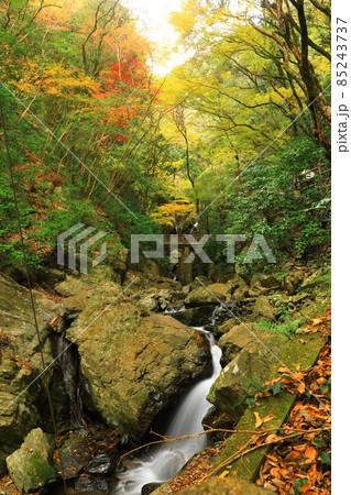 【愛媛県】白滝公園の雌滝の紅葉 85243737