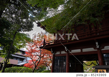 本土寺の紅葉の写真素材