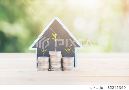The tree grows on coins, house placed on a table. planning savings money of coins to buy a home The tree grows on coins, house placed on a table. planning savings money of coins to buy a home 85245369