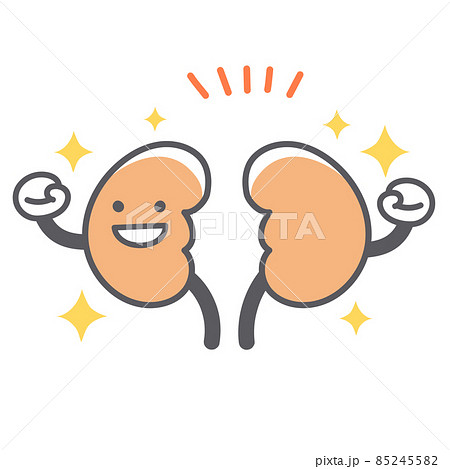 happy kidney clipart