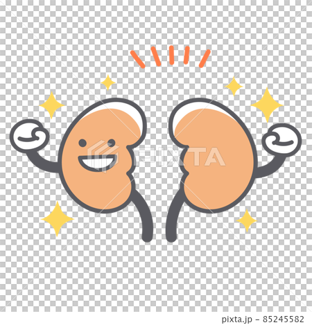 元気な腎臓のシンプルで可愛いイラスト 85245582