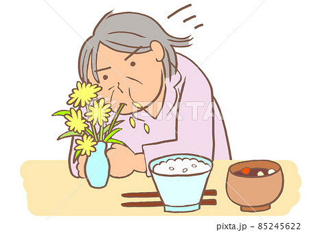 認知症 BPSD 花瓶の花を異食する女性 認知症 BPSD 花瓶の花を異食する女性 85245622
