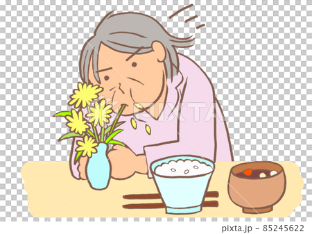 認知症 BPSD 花瓶の花を異食する女性 認知症 BPSD 花瓶の花を異食する女性 85245622