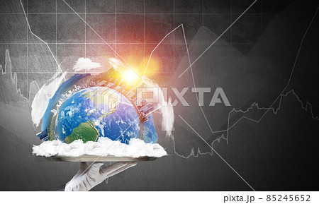 Hand of waitress presenting Earth globe on tray. 85245652