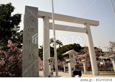 廣田神社と桜 85245858