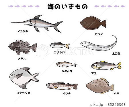 魚のイラスト素材セットのイラスト素材