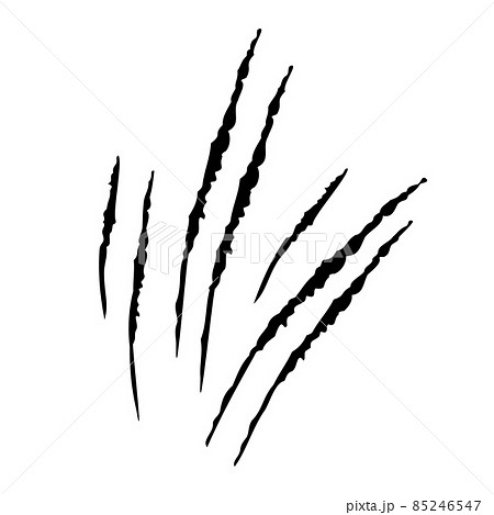 Claws scratches icon isolated on white background. Several forms nicks of wild animals. 85246547