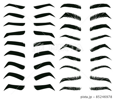 Cartoon eyebrows shapes, thin, thick and curved eyebrows. Classic eyebrows, brow makeup shaping vector illustration set. Various eyebrows types Cartoon eyebrows shapes, thin, thick and curved eyebrows. Classic eyebrows, brow makeup shaping vector illustration set. Various eyebrows types 85246978