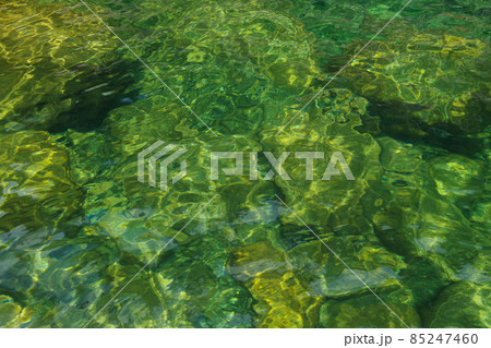 魚飛渓　三重県　日本有数の透明度　銚子川上流　清流　川遊び場 85247460