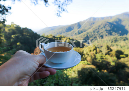hot tea , tea cup or serving tea hot tea , tea cup or serving tea 85247951