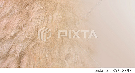 close up wool background 85248398