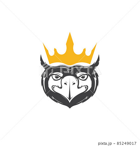 black face eagle with crown logo design vector graphic symbol icon sign illustration creative idea black face eagle with crown logo design vector graphic symbol icon sign illustration creative idea 85249017
