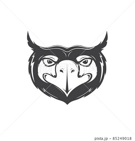 black face eagle vintage logo design vector graphic symbol icon sign illustration creative idea 85249018