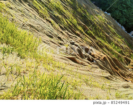 Permanent slope protection with grass using the hydroseed method. The grass is used to stabilize the slope structure and prevent slope erosion. Effective and less maintenance.  85249491