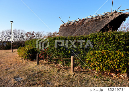 冬の大歳山遺跡公園 縄文時代の竪穴住居跡を復元 冬の大歳山遺跡公園 縄文時代の竪穴住居跡を復元 85249734