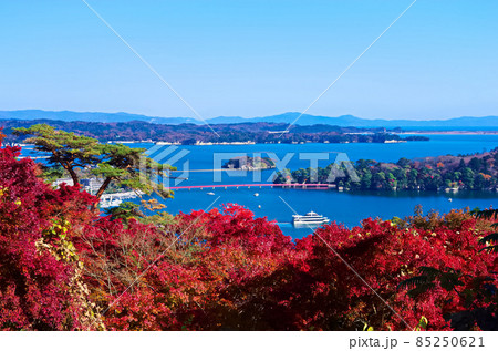 秋の日本三景松島 85250621