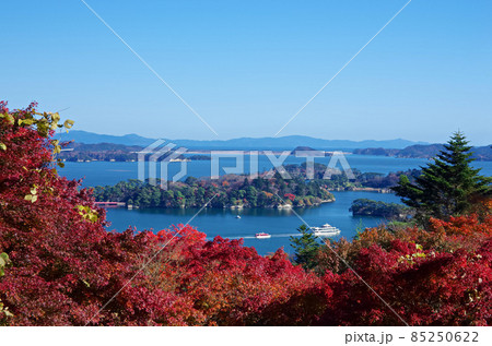 秋の日本三景松島 85250622