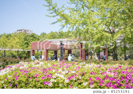 猿江恩賜公園の体操する人々/東京都江東区 猿江恩賜公園の体操する人々/東京都江東区 85253191