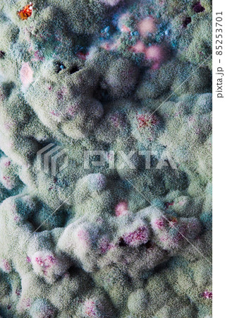 macro of mold relief 85253701