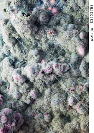 macro of mold relief 85253765