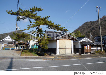 宿場町平福　本陣名残りの松　兵庫県佐用町 85254225