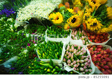 multitude of color flowers at the wholesale market 85255091