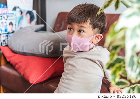 イヤイヤ期の子供　男の子 85255136