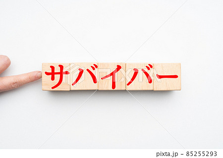イメージ　サバイバー 85255293