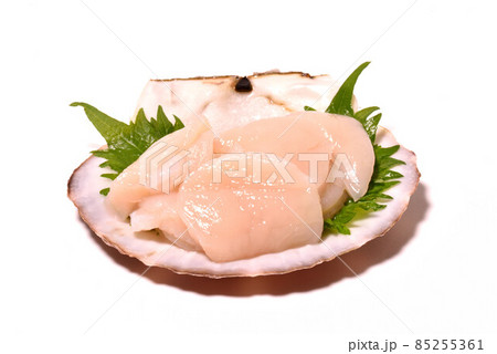 ホタテ ホタテ 85255361