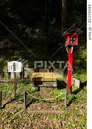 小町井戸 85256089