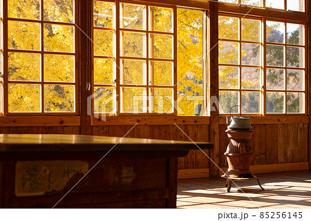 大銀杏喰丸小学校 大銀杏喰丸小学校 85256145