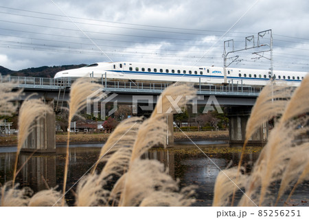 岐阜県関ヶ原町十九女池（つづらいけ）を通過する東海道新幹線N700A 85256251