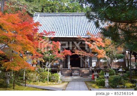 2021年11月の早朝に参拝した京都市槙尾山西明寺の本堂が美しい 2021年11月の早朝に参拝した京都市槙尾山西明寺の本堂が美しい 85256314