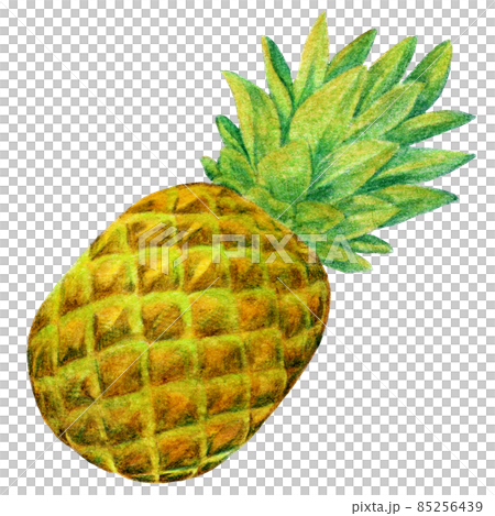 Pineapple Drawing - A Step-by-Step Guide! - Art in Context