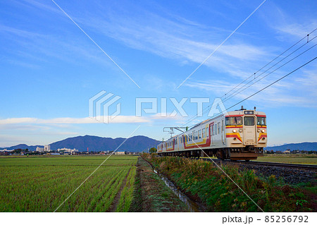 越後線　弥彦線　115系 85256792