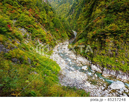 北アルプス黒部峡谷下の廊下の秋の風景 峡谷 北アルプス黒部峡谷下の廊下の秋の風景 峡谷 85257248